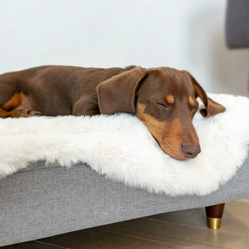 Topology - Memory Foam Dog Bed - Grey - Large 9 Topology - Memory Foam Dog Bed - Grey - Large - Image 7