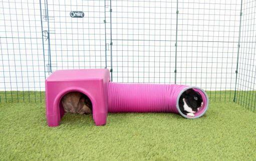 Zippi Rabbit Shelter With Play Tunnel - Purple 8 Zippi Rabbit Shelter With Play Tunnel - Purple - Image 6