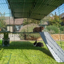 Zippi Rabbit Platforms - 3 Panels With Green Shelter And Play Tunnel -Omlet Shop Zippi Platforms are insulated to ensure the floor under your rabbits feet is a comfortable temperature omlet
