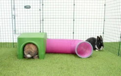Zippi Rabbit Shelter With Play Tunnel - Green And Purple -Omlet Shop Zippi Shelter tunnel playpen run rabbit