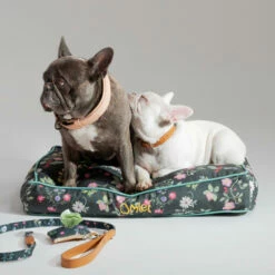Dog Walk Set Medium - Midnight Meadow 8 Dog Walk Set Medium - Midnight Meadow -Omlet Shop bulldogs sleeping in designer small cushion dog bed midnight meadow omlet