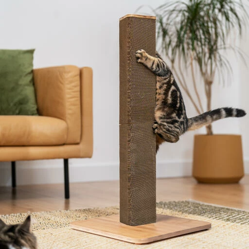 Stak Cat Scratching Post With Refill Pack - Tall 5 Stak Cat Scratching Post With Refill Pack - Tall - Image 3