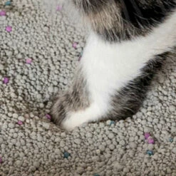 Omlet Cat Litter No. 4 - Clay - 17 Lbs. 10 Oz. 13 Omlet Cat Litter No. 4 - Clay - 17 Lbs. 10 Oz. -Omlet Shop cat litter clay absorvent clumping odour control omlet