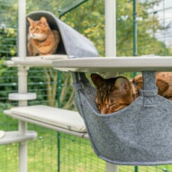 Freestyle Cat Tree - Plastic Hammock Platform With Hammock (includes Bracket) -Omlet Shop cats enjoying the freestyle outdoor cat tree system one sleeping in the hammock the other in the den omlet
