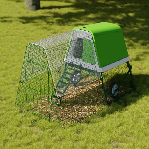 Clear Run Cover For Eglu Go UP - 2/3 Run 3 Clear Run Cover For Eglu Go UP - 2/3 Run