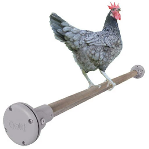Omlet Chicken Perch - 3ft 3 Omlet Chicken Perch - 3ft