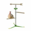 Freestanding Universal Chicken Perch - Weatherhen Kit 1 Freestanding Universal Chicken Perch - Weatherhen Kit -Omlet Shop chicken perching toy kit freestanding omlet