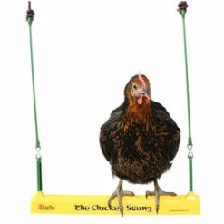 Hentertainment Starter Bundle 13 Hentertainment Starter Bundle -Omlet Shop chicken swing hen toy omlet