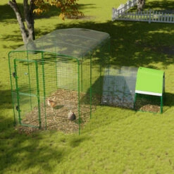 Clear Chicken Run Cover - 6ft X 9ft
