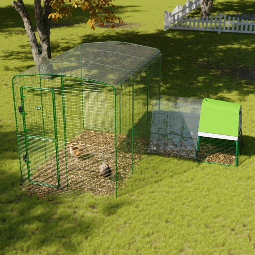 Clear Chicken Run Cover - 6ft X 9ft 3 Clear Chicken Run Cover - 6ft X 9ft