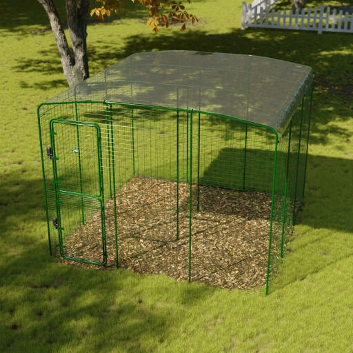 Clear Guinea Pig Run Cover - 9ft X 9ft 3 Clear Guinea Pig Run Cover - 9ft X 9ft