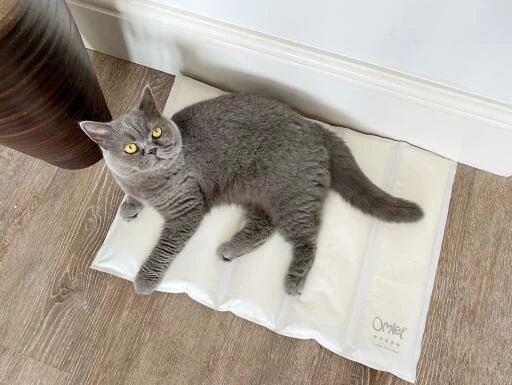 Omlet Cooling Mat For Cats Large - Grey And Cream 7 Omlet Cooling Mat For Cats Large - Grey And Cream - Image 5