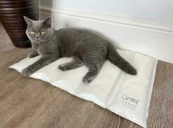 Omlet Cooling Mat For Cats Medium - Grey And Cream 12 Omlet Cooling Mat For Cats Medium - Grey And Cream -Omlet Shop cooling mat cat memory foam omlet 3 1
