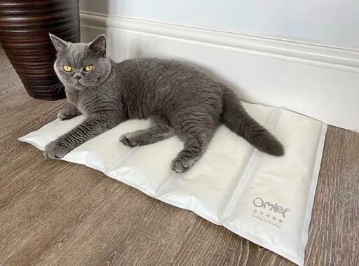 Omlet Cooling Mat For Cats Medium - Grey And Cream 7 Omlet Cooling Mat For Cats Medium - Grey And Cream - Image 5