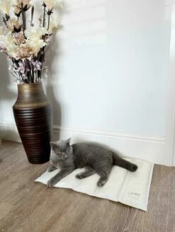 Omlet Cooling Mat For Cats Medium - Grey And Cream 11 Omlet Cooling Mat For Cats Medium - Grey And Cream -Omlet Shop cooling mat cat memory foam omlet 5 1