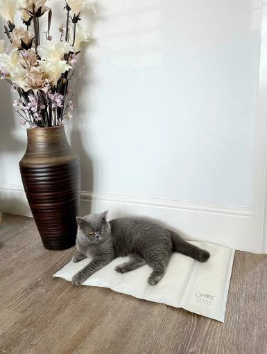 Omlet Cooling Mat For Cats Small - Grey And Cream 8 Omlet Cooling Mat For Cats Small - Grey And Cream - Image 6