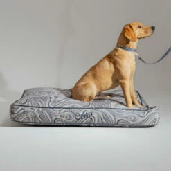 Dog Collar Medium - Contour Grey -Omlet Shop cushion dog bed and matching dog collar and lead omlet 2