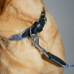 Dog Collar Medium - Contour Grey -Omlet Shop designer dog lead contour grey and dog collar omlet 2