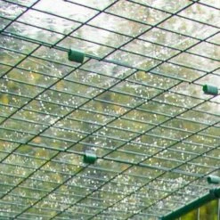Clear Guinea Pig Run Cover - 6ft X 6ft 10 Clear Guinea Pig Run Cover - 6ft X 6ft -Omlet Shop detail of top of an omlet walk in run with clear cover 1