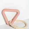 Wild One Triangle Tug Dog Toy - Blush Pink -Omlet Shop dog toy wild one triangle