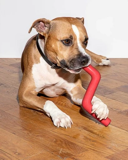 Wild One Bolt Bite Dog Toy - Red 4 Wild One Bolt Bite Dog Toy - Red - Image 2