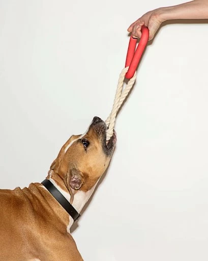 Wild One Triangle Tug Dog Toy - Blush Pink 4 Wild One Triangle Tug Dog Toy - Blush Pink - Image 2