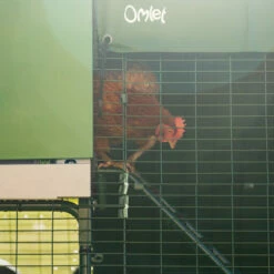 Heavy Duty Run Cover For Eglu Go UP - 2/3 Run 15 Heavy Duty Run Cover For Eglu Go UP - 2/3 Run -Omlet Shop eglu go up elevated chicken coop with heavy duty run cover omlet