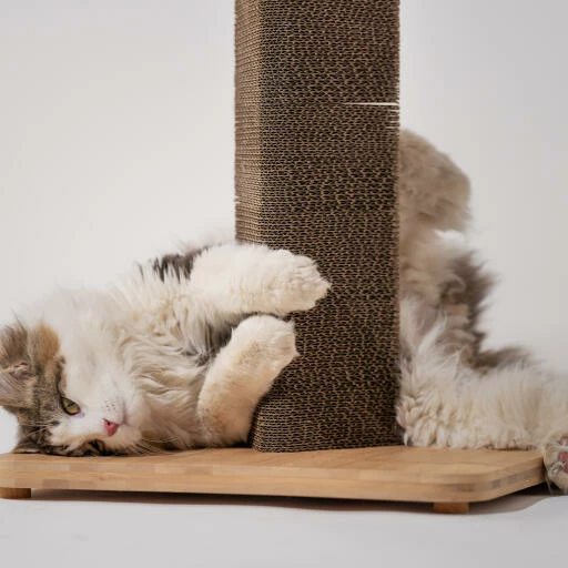 Stak Cat Scratching Post With Refill Pack - Tall 7 Stak Cat Scratching Post With Refill Pack - Tall - Image 5