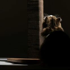Refillable Cardboard Cat Scratching Post - Short 25 Refillable Cardboard Cat Scratching Post - Short -Omlet Shop fluffy cat looking up stak scratcher from behind square