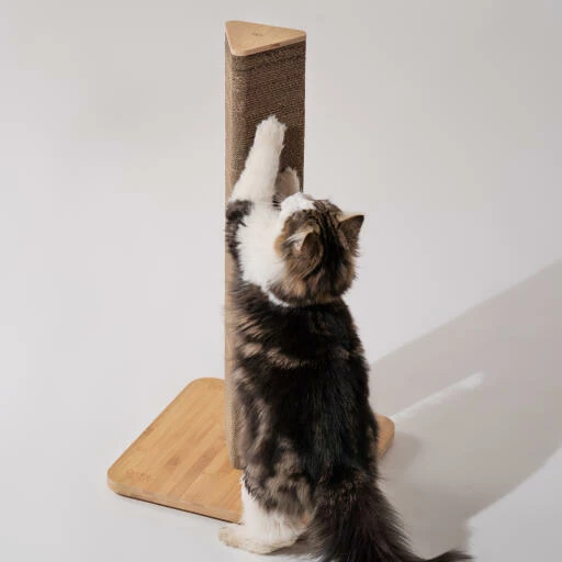 Refillable Cardboard Cat Scratching Post - Tall 11 Refillable Cardboard Cat Scratching Post - Tall - Image 9