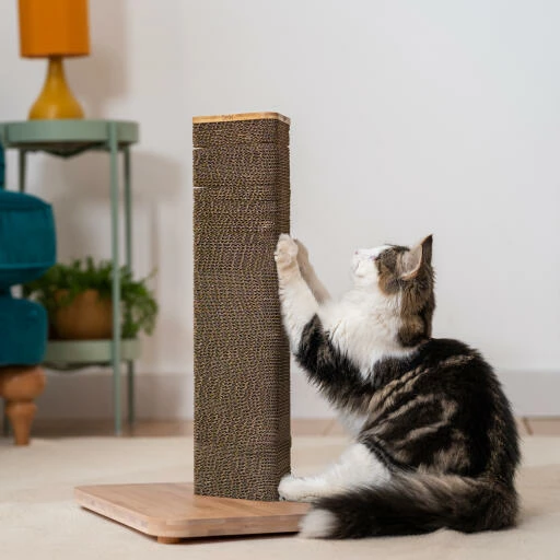 Refillable Cardboard Cat Scratching Post - Short 5 Refillable Cardboard Cat Scratching Post - Short - Image 3