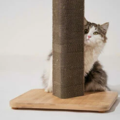 Stak Cat Scratching Post With Refill Pack - Short 24 Stak Cat Scratching Post With Refill Pack - Short -Omlet Shop fluffy peering around stak scratcher square 1