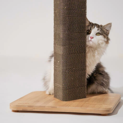 Refillable Cardboard Cat Scratching Post - Short 11 Refillable Cardboard Cat Scratching Post - Short - Image 9