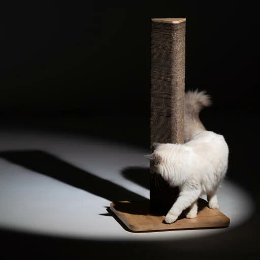 Refillable Cardboard Cat Scratching Post - Tall 12 Refillable Cardboard Cat Scratching Post - Tall - Image 10
