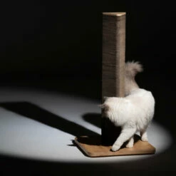 Stak Cat Scratching Post With Refill Pack - Tall 27 Stak Cat Scratching Post With Refill Pack - Tall -Omlet Shop fluffy white cat circling tall stak scratcher square