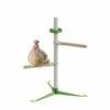 Freestanding Chicken Perch - Spring Chicken Kit 1 Freestanding Chicken Perch - Spring Chicken Kit -Omlet Shop free standing chicken perch with accessories spring kit 1