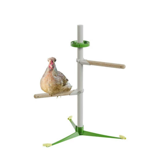 Freestanding Chicken Perch - Spring Chicken Kit 3 Freestanding Chicken Perch - Spring Chicken Kit