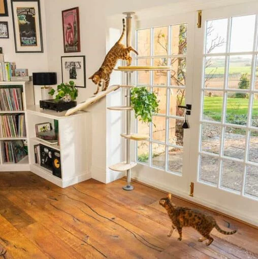Indoor Freestyle Cat Tree - Vertical Pole Kit - 1.7m To 2.15m 4 Indoor Freestyle Cat Tree - Vertical Pole Kit - 1.7m To 2.15m - Image 2