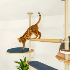 Indoor Freestyle Cat Tree - Vertical Pole Kit - 2.6m To 3.05m -Omlet Shop freestyle floor to ceiling indoor cat tree poles and accessories omlet 1 2
