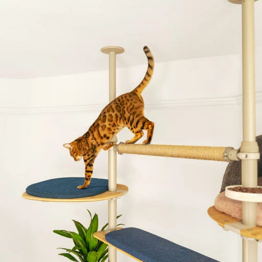 Indoor Freestyle Cat Tree - Vertical Pole Kit - 12 Ft. 11.5 In To 14 Ft. 5.2 In. 6 Indoor Freestyle Cat Tree - Vertical Pole Kit - 12 Ft. 11.5 In To 14 Ft. 5.2 In. - Image 4