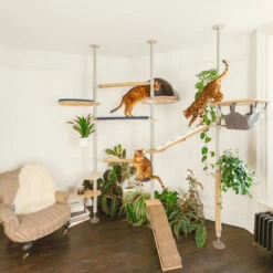 Indoor Freestyle Cat Tree - Vertical Pole Kit - 11 Ft. 5.8 In. To 12 Ft. 11.5 In. 13 Indoor Freestyle Cat Tree - Vertical Pole Kit - 11 Ft. 5.8 In. To 12 Ft. 11.5 In. -Omlet Shop freestyle floor to ceiling indoor cat tree poles and accessories omlet 2 2