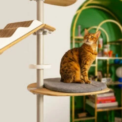 Indoor Freestyle Cat Tree - Vertical Pole Kit - 12 Ft. 11.5 In To 14 Ft. 5.2 In. 13 Indoor Freestyle Cat Tree - Vertical Pole Kit - 12 Ft. 11.5 In To 14 Ft. 5.2 In. -Omlet Shop freestyle floor to ceiling indoor cat tree poles and accessories omlet 4 3