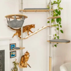 Indoor Freestyle Cat Tree - Vertical Pole Kit - 2.6m To 3.05m -Omlet Shop freestyle floor to ceiling indoor cat tree poles and accessories omlet 5