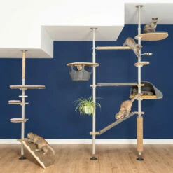Front Page -Omlet Shop freestyle floor to ceiling indoor cat tree poles and accessories omlet 8 5