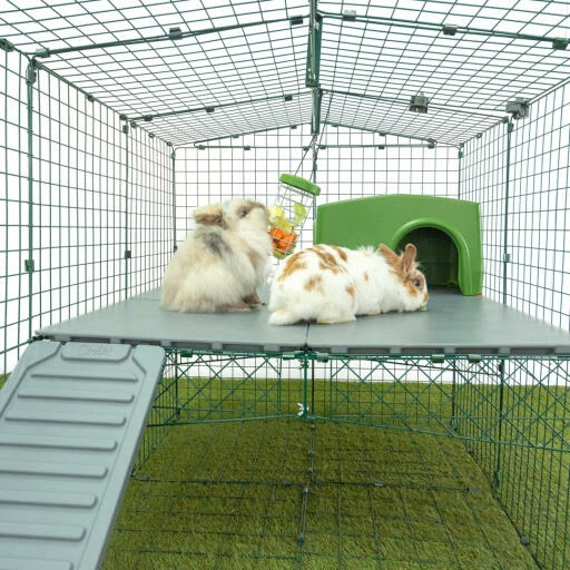 Zippi Rabbit Shelter - Green 13 Zippi Rabbit Shelter - Green - Image 11