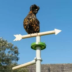 Freestanding Chicken Perch - Hen Adventure Kit 7 Freestanding Chicken Perch - Hen Adventure Kit -Omlet Shop hen perching on weathervane chicken toy accessory for free standing universal chicken perch omlet 1