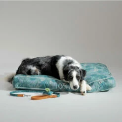 Dog Leash - Nature Trail Teal 13 Dog Leash - Nature Trail Teal -Omlet Shop large cushion dog bed natural trail omlet