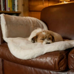 Luxury Faux Sheepskin Dog Blanket - Small -Omlet Shop luxury sheepskin dog blanket omlet 8