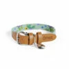 Dog Collar Medium - Gardenia Sage -Omlet Shop medium designer dog collar in gardenia sage signature print by omlet