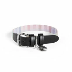 Dog Collar Medium - Prism Kaleidoscope